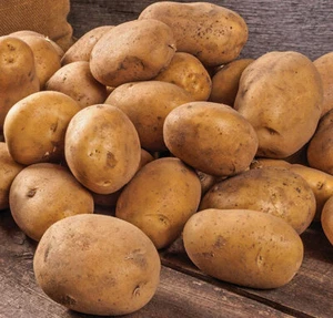 Fresh Russet Potato 10 LBS BAG Actual Fruit Vegetable Potato FREE PRIORITY SHIP - Picture 1 of 3