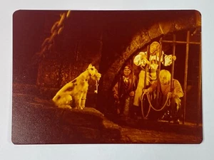 Piratas Caribe Disneyland Paseo PIRATAS CÁRCEL PERRO LLAVES Fotografía Kodak década de 1970 - Imagen 1 de 5