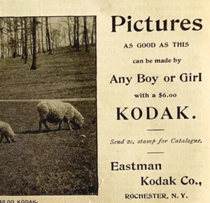 Kodak Camera Pictures 1894 Advertisement Victorian Photography Sheep 1 ADBN1bb - Picture 1 of 2