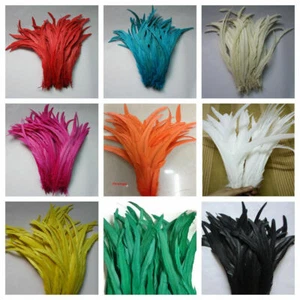 FUNDA Cola de Gallo Plumas 6-10 Pulgadas MUCHOS Colores; Halloween/Disfraz/Artesanía - Imagen 1 de 19