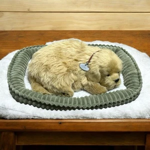 Perfect Petzz Plüsch Golden Retriever Hund atmet getestet funktioniert sauber Batterie - Bild 1 von 15
