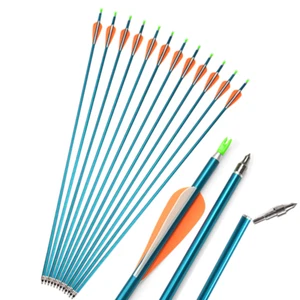 30" Archery Aluminum Arrows SP500 Screw Point Recurve Bow Target Outdoor Hunting - Picture 1 of 14