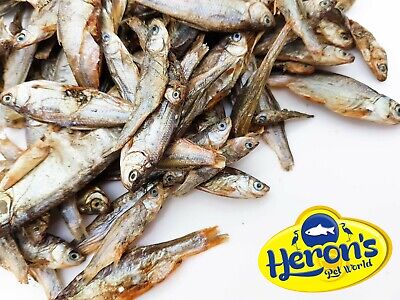 HERONS Dried Whole Sprats Large 100% NATURAL BARF Dog Puppy Fish Treats • 1.23£