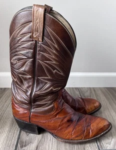 Vintage DAN POST Men's BROWN EXOTIC EEL SKIN Pull-On Western COWBOY BOOTS Sz 11D - Picture 1 of 10