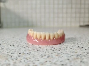 Nuovissima protesi/denti finti, inferiore, novità, display, puntelli, ausilio didattico, lezioni - Foto 1 di 5