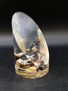 Goldfeder Ardsley NY Harz Briefbeschwerer Gänse Holz Zweige getrocknete Blätter Muscheln - Bild 1 von 11