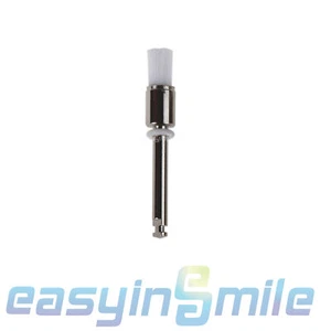 100 piezas Cepillo Prophy Pulido Dental Cepillo Plano Alúmina Desechable EASYINSMILE - Imagen 1 de 5