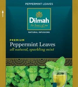500 x Pure Peppermint Tea Bags - Individually Wrapped | BnB Supplies - Picture 1 of 1