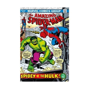 Póster enrollado Marvel Comics: Spiderman 22,375 x 34 pulgadas - Imagen 1 de 1