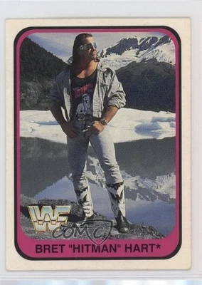 1991 Merlin WWF German Bret Hart #88 - Image 1 of 3