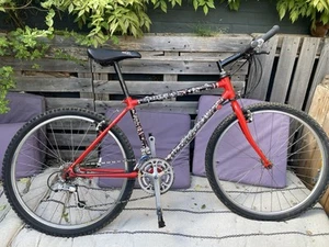 Raleigh Dynatech Diablo Titanium Retro MTB, Vintage RSP - Picture 1 of 23