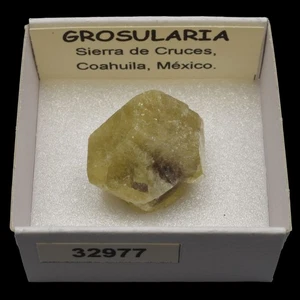 GROSULARIA (Sierra de Cruces, Coahuila, Mexico) #32977 / Grossular - Picture 1 of 1