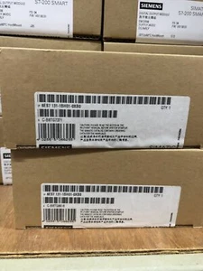1PZ Siemens 6ES7131-1BH01-0XB0 6ES7 131-1BH01-0XB0 Consegna Rapida Nuovo - Foto 1 di 1