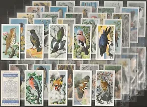 BROOKE BOND (TEA)-FULL SET- BIRD PORTRAITS 1957 (NO ADDRESS 50 CARDS) EXCELLENT - Picture 1 of 1