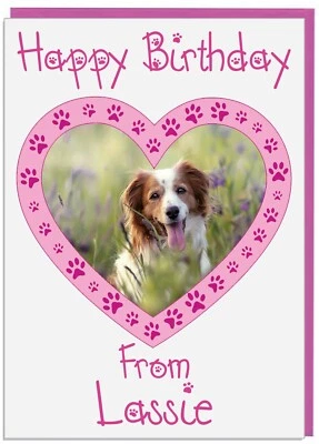 Personalised Photo Birthday Card From Your Pet Pets Dog Cat Rabbit (PINK) - Image 1 of 4