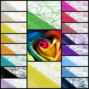 Sizoweb 5m Rolle 20cm oder 30cm breit Tischläufer Fest Hochzeit Tischband Deko - Bild 1 von 28