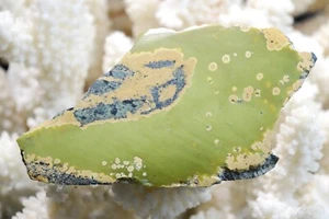 Scheibe - Edle Serpentin 45 Gramm - Susa Valley, Piemont, Italien - Bild 1 von 3