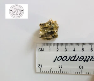 Extra kleine Fischwürfel 100 % natürliche Hundebehandlungen reine organisch getrocknete Kabeljauhaut 150g - Bild 1 von 11