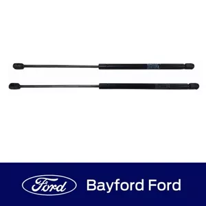GENUINE FORD FALCON FG FGX RH & LH GAS LIFT BONNET STRUTS - Picture 1 of 1