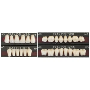 Denti per protesi 3 strati Eray deluxe  10 Set  di 28 denti - Foto 1 di 4