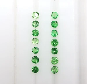 Piedras sueltas corte forma redonda granate tsavorita natural de 2,5 mm 21 piezas 2,00 crt - Imagen 1 de 4