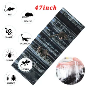 Large Size Mice Killer Mouse Rodent Outdoor Glue Trap Indoor Super Sticky Rat - Picture 1 of 17