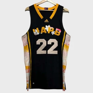 Adidas Pro Cut UAPB Arkansas Pine Bluff Black Excellence Basketball Jersey Large - Picture 1 of 7
