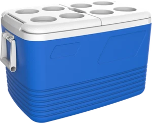 TERMOS 60L COOL BOX PORTABLE COOLBOX INSULATED COOLER FOOD DRINKS TRAVEL CAMPING - Picture 1 of 4