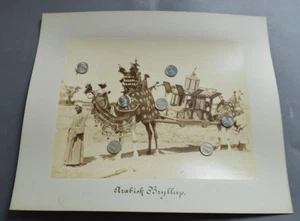 FOTO ANTIGUA ALBÚMINA ÁRABE JORDÁN IRAQUÍ EMARATO SAUDÍ QATAR SIRIA OMÁN - Imagen 1 de 1