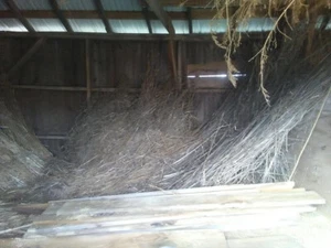 fiber hemp straw - Picture 1 of 2
