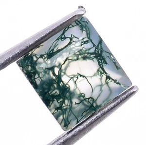 Musgo Natural Ágata Corte Facetado Forma Cuadrada 5X5mm Piedra Preciosa Suelta 0.50Ct. - Imagen 1 de 9