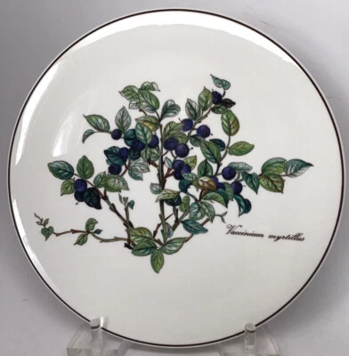 Azulejo de té Villeroy & Boch botánico redondo trivet Vaccinium Myrtillus arándano (44 Foto 1 de 4