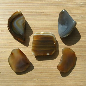 Lote de 5 mini rebanadas de geoda piedras pulidas cortadas bandas marrón gris ágata cristales 8 oz - Imagen 1 de 6