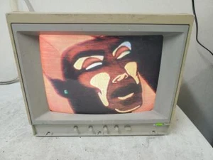 Vintage Apple A2M6021 AppleColor Composite 13" CRT IIe Computer Monitor 1987 - Picture 1 of 7