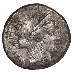 République romaine MARCIA Denier 82 BC Buste Vénus bige CRR.736 (2) argent - Foto 1 di 2