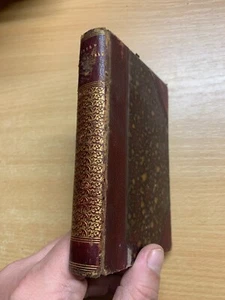 RARO LIBRO ANTIGUO DE FICCIÓN ALEMANA HENRIK IBSEN FANTASMAS (FANTASMAS) DÉCADA DE 1890 (P3) - Imagen 1 de 15
