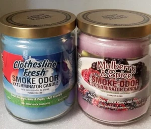 Smoke Odor 13 oz Candles 2 Fragrances Set Clothesline Fresh/Mulberry & Spice. - Picture 1 of 4