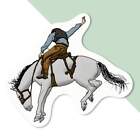 'Rodeo Cowboy & Horse' Decal Stickers (DW029375)