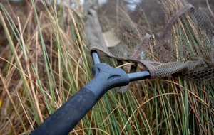 Trakker Sanctuary T8 42" Landing Net *CHEAP POST* - Picture 1 of 3