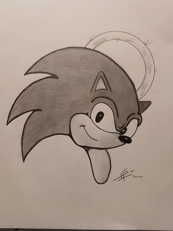 DESENHO DE ARTE ORIGINAL SONIC THE HEDGEHOG SHAWN HUDSON PRETO E CINZA CARVALHO 8,5X11 - Imagem 1 de 1