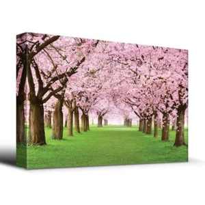 wall26 Cherry Blossoms Line Path - Canvas Art Home Home Decor - 16x24 inches - Picture 1 of 4