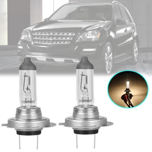 For Mercedes-Benz ML350 2003-2015 Warm White H7 Halogen Headlight Low Beam Bulbs - Foto 1 di 8