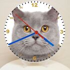 Cat Breeds Quartz Wall Clock or Your Own Picture 200mm or  300m Battery Included