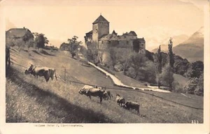 Liechtenstein - Schloss Vaduz - Verlag A. Buck 223 - Picture 1 of 2