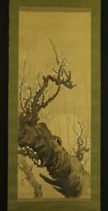 JAPANESE HANGING SCROLL ART Painting "Plum blossoms and Moon"  #E3116