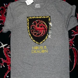 GAME OF THRONES Mens Gray HOUSE OF THE DRAGON Day Of The Dragon S/S Tee Sz L NWT - Picture 1 of 6