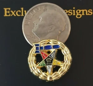 OES Past Matron Lapel Pin -  Eastern Star - Picture 1 of 5