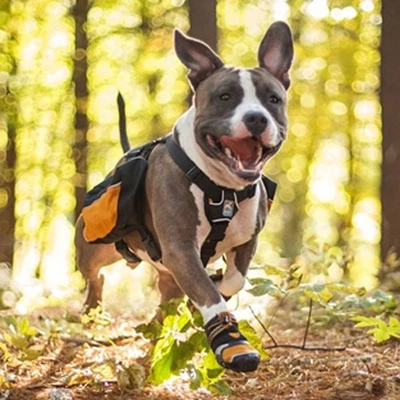 Zapatos estroboscópicos Kurgo Step N para perros (4) resistentes al agua botas de nieve antideslizantes medianos Foto 1 de 4