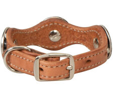 New Coolaid Texas Star Dog Collar