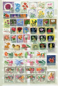 Lot Blumenmotive o ( 45536 ) - Bild 1 von 2